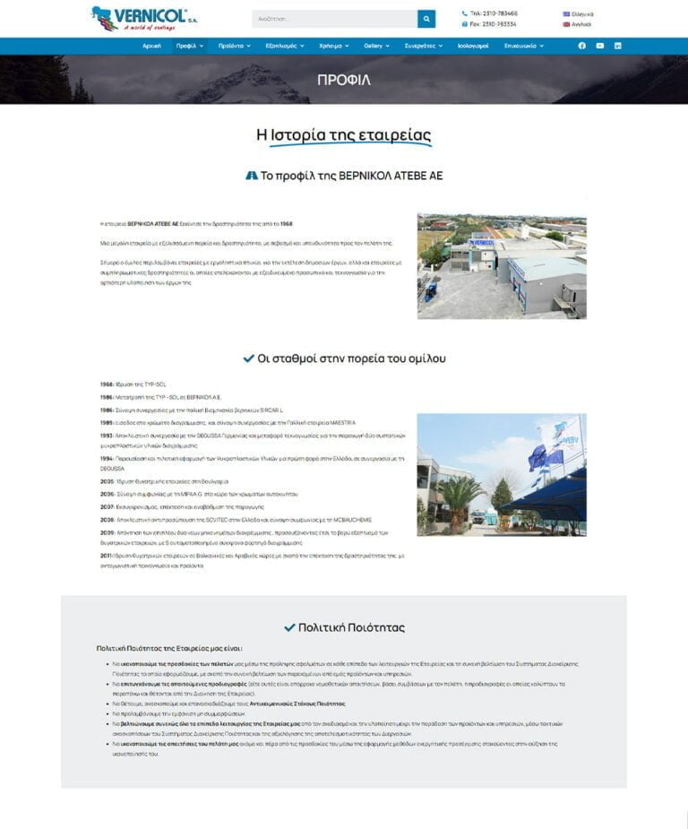 Vernicol κατασκευή ιστοσελίδας ΑΜΕΑ