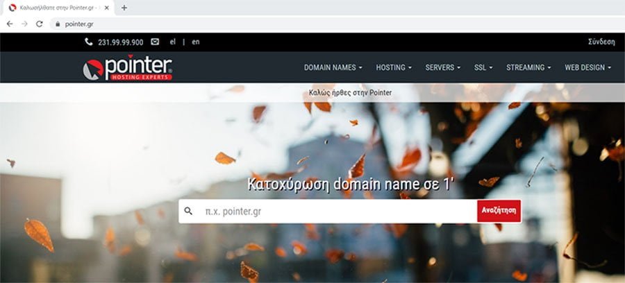 Pointer domain name κατοχύρωση