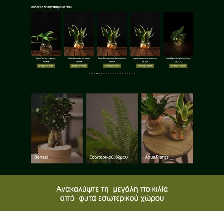 Εσωτερικά φυτά σε γλάστρες για διακόσμηση εσωτερικού χώρου.